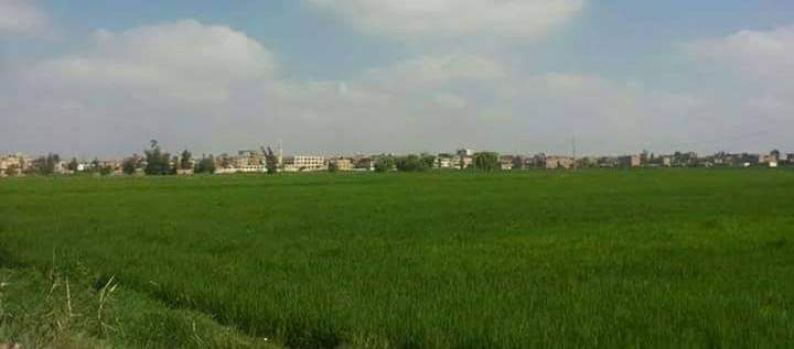 ريف مصر