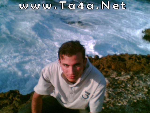 Tamer El-dawoody