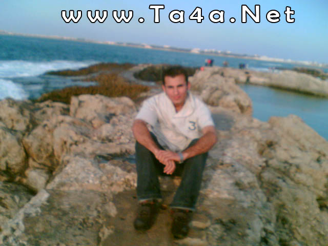 Tamer El-dawoody